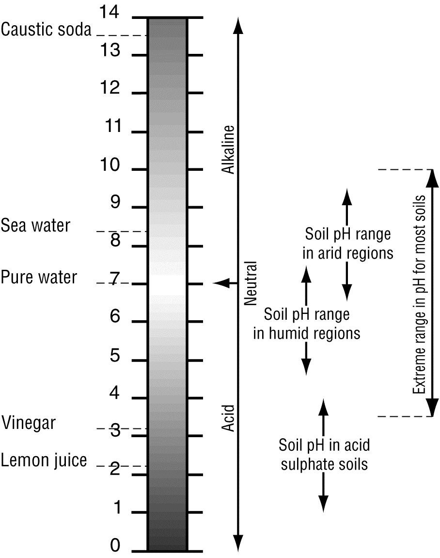 vertical ph scale