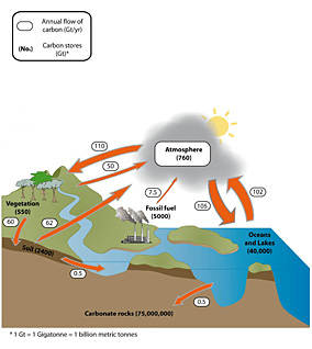 Soil carbon | Environment, land and water | Queensland Government