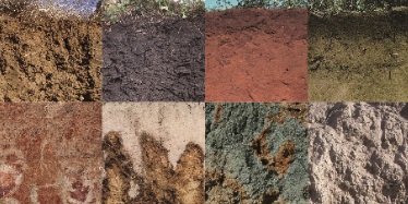 soil colour